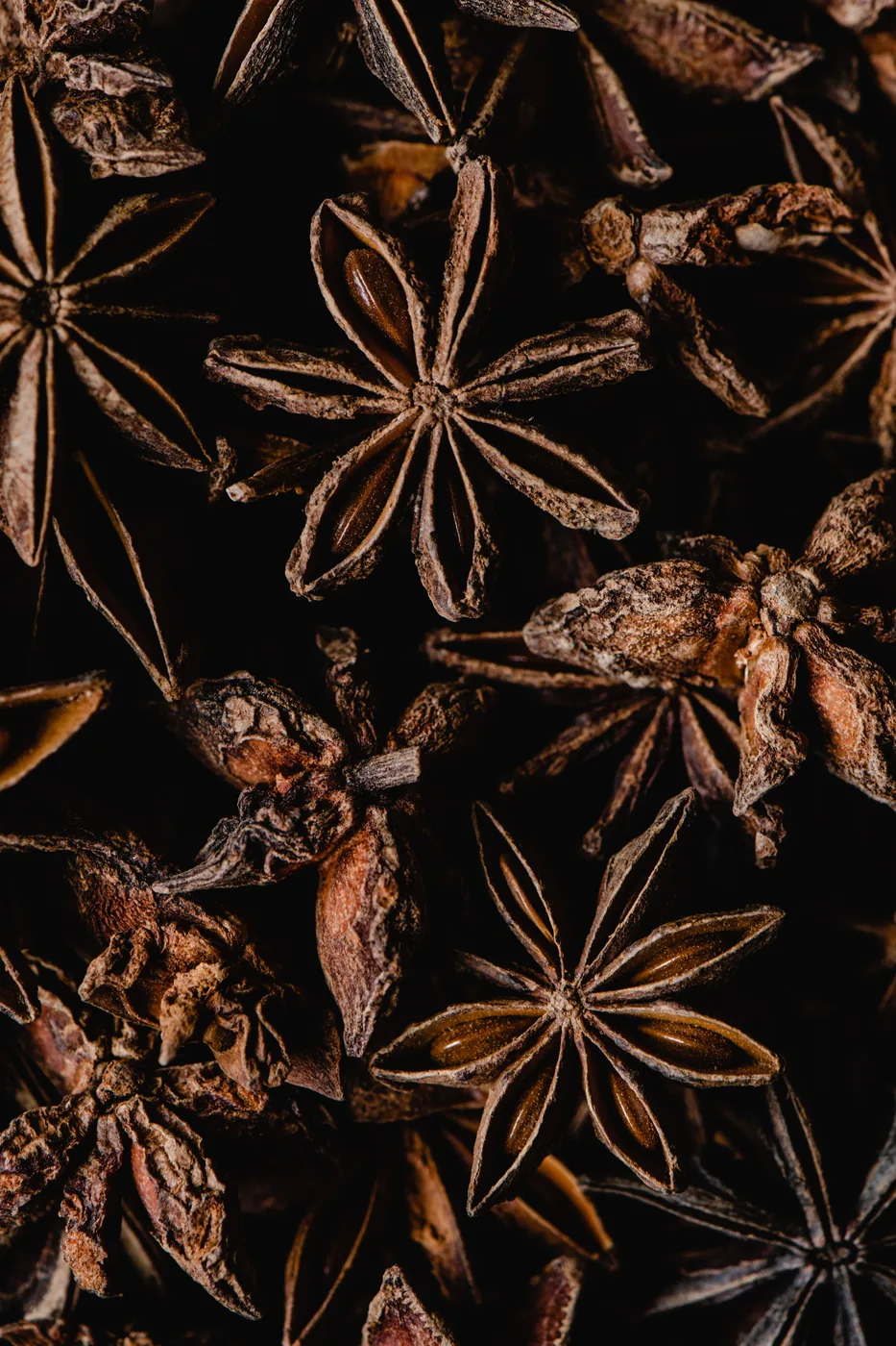 Star Anise